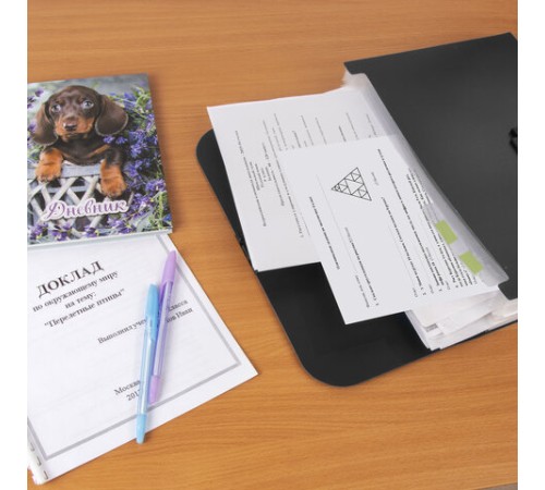 Портфель пластиковый STAFF А4 (330х235х36 мм), 13 отделений, индексные ярлыки, черный, 229245