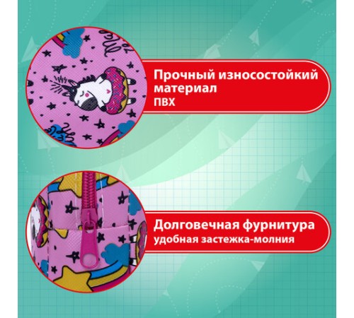 Пенал-косметичка ПИФАГОР, мягкий, 