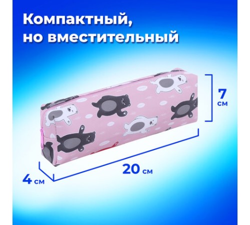 Пенал-косметичка ПИФАГОР, мягкий, 