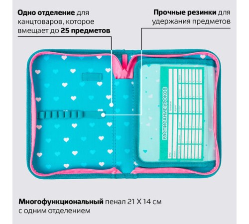 Пенал BRAUBERG, 1 отделение, 1 откидная планка, ткань, 20х14 см, 