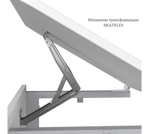 Стол-парта 1-местный, регулируемый угол, СУТ.54-01, 600х500х520-640 мм, рост 2-4, серый каркас, ЛДСП клён
