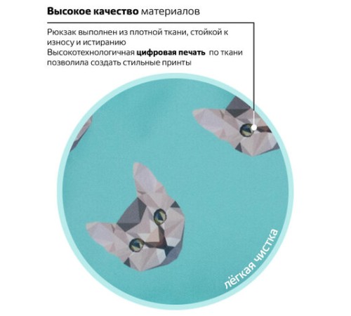 Рюкзак BRAUBERG СИТИ-ФОРМАТ универсальный, 