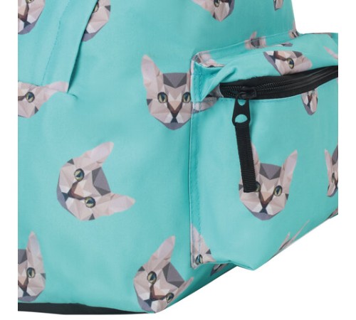 Рюкзак BRAUBERG СИТИ-ФОРМАТ универсальный, 