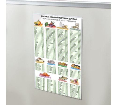 Магнитный карман для документов, фото, записок, формат А4, прозрачный, BRAUBERG, 236792