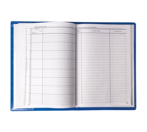 Обложка ПВХ со штрихкодом для классного журнала непрозрачная, ПЛОТНАЯ, тиснение золото, 305х475 мм, ПИФАГОР, 236907