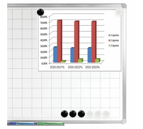Магниты BRAUBERG 