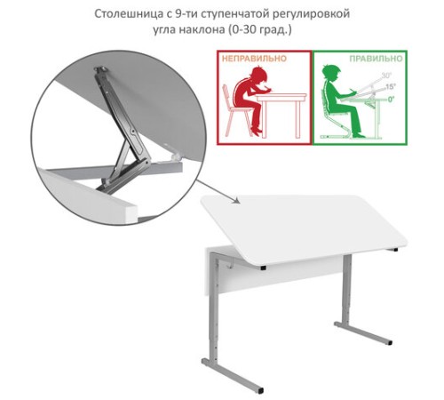 Стол-парта 2-местный, регулируемый угол, СУТ.55-01, 1200х500х640-780 мм, рост 4-6, серый каркас, ЛДСП белая Стол-парта 2-местный, регулируемый угол, СУТ.55-01, 1200х500х640-780 мм, рост 4-6, серый каркас, ЛДСП белая