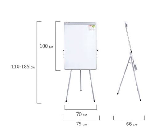 Доска-флипчарт магнитно-маркерная 70х100 см, тренога, регулируемая высота, STAFF, 238002