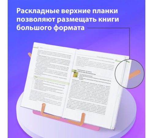 Подставка для книг и учебников BRAUBERG KIDS 