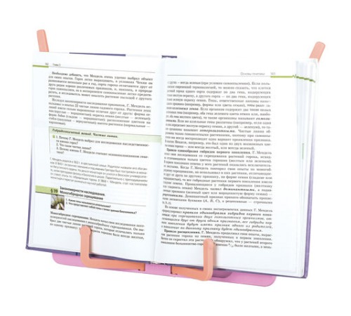 Подставка для книг и учебников BRAUBERG KIDS 