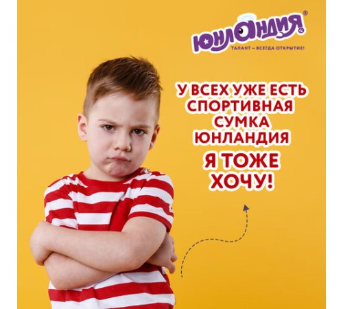 Сумка для занятий спортивная ЮНЛАНДИЯ с отделением для обуви, 40х22х20 см, синий/голубой, 270096