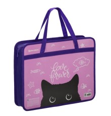 Папка на молнии с ручками BRAUBERG А4, 1 отделение, пластик, 80 мм, 