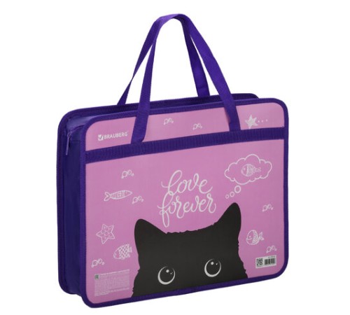 Папка на молнии с ручками BRAUBERG А4, 1 отделение, пластик, 80 мм, 