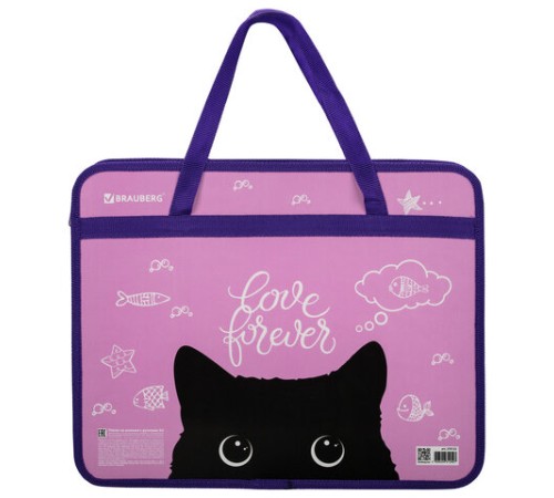 Папка на молнии с ручками BRAUBERG А4, 1 отделение, пластик, 80 мм, 