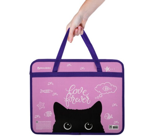 Папка на молнии с ручками BRAUBERG А4, 1 отделение, пластик, 80 мм, 