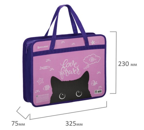 Папка на молнии с ручками BRAUBERG А4, 1 отделение, пластик, 80 мм, 