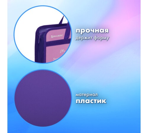 Папка на молнии с ручками BRAUBERG А4, 1 отделение, пластик, 80 мм, 