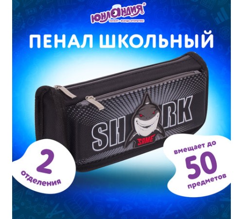 Пенал мягкий ЮНЛАНДИЯ, 2 отделения, полиэстер, 