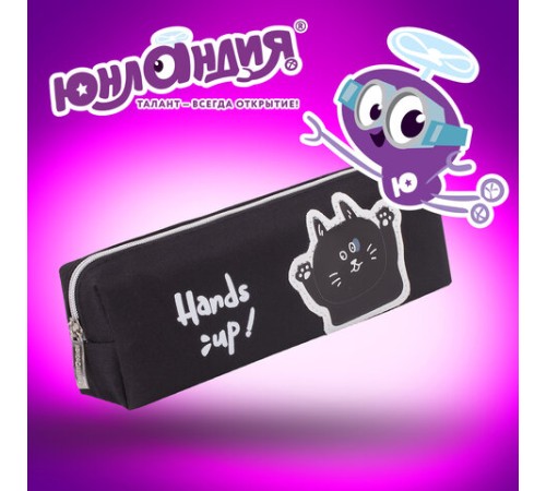 Пенал ЮНЛАНДИЯ, 1 отделение, полиэстер, 