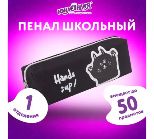 Пенал ЮНЛАНДИЯ, 1 отделение, полиэстер, 