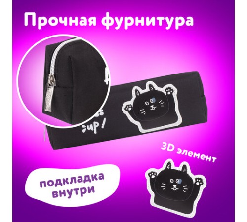 Пенал ЮНЛАНДИЯ, 1 отделение, полиэстер, 