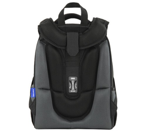 Ранец BRAUBERG PREMIUM, 2 отделения, с брелком, 