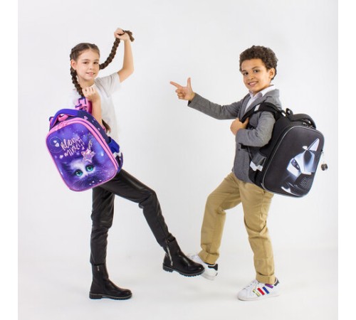 Ранец BRAUBERG PREMIUM, 2 отделения, с брелком, 