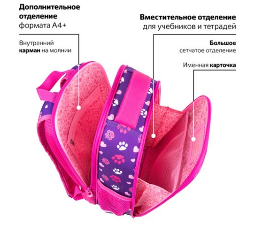 Ранец BRAUBERG FIT, 2 отделения, 