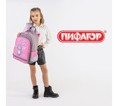Рюкзак ПИФАГОР SCHOOL, 1 отделение, 3 кармана, 