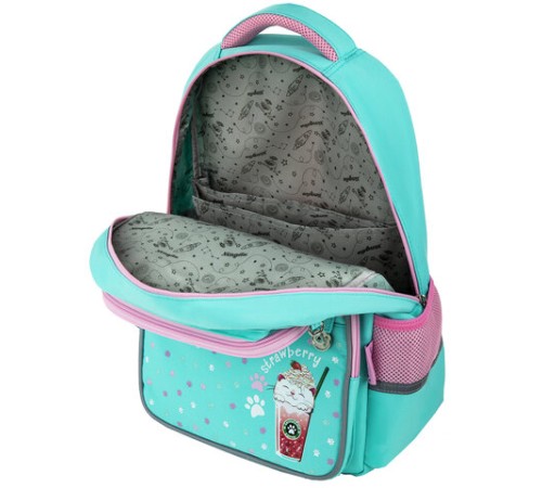 Рюкзак ЮНЛАНДИЯ COMPLETE с пеналом в комплекте, эрго-спинка, 