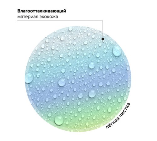 Ранец BRAUBERG SHINY, 2 отделения, с брелком, 