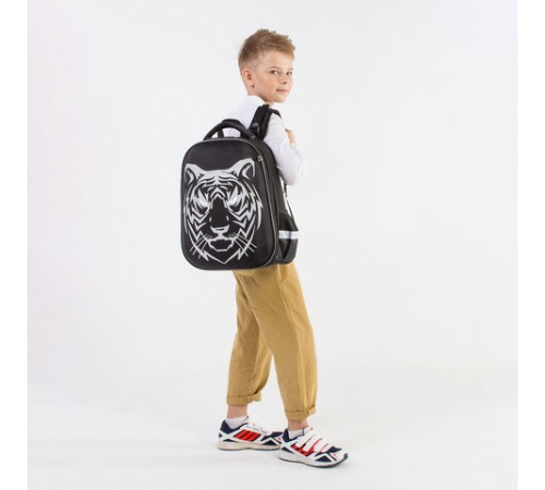 Ранец BRAUBERG SHINY, 2 отделения, с брелком, 