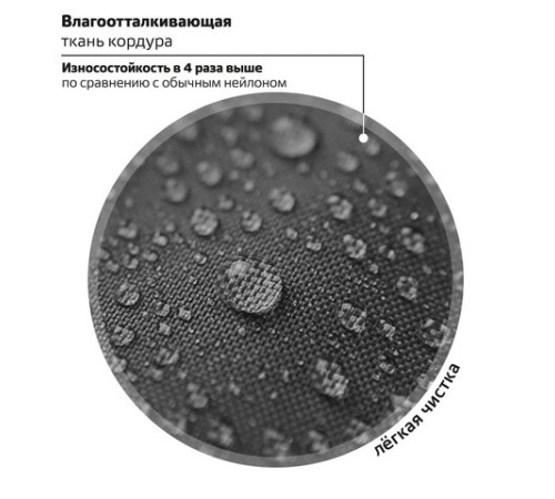 Ранец BRAUBERG SHINY, 2 отделения, с брелком, 