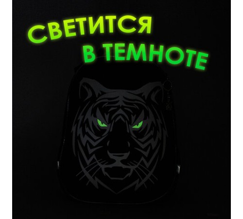 Ранец BRAUBERG SHINY, 2 отделения, с брелком, 