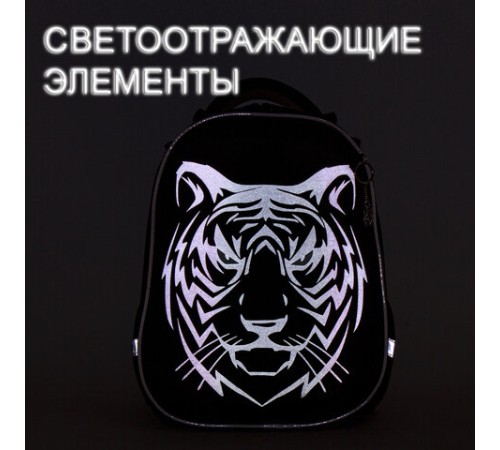 Ранец BRAUBERG SHINY, 2 отделения, с брелком, 