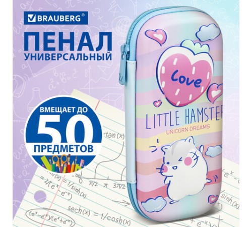 Пенал BRAUBERG, 1 отделение, 1 откидная планка, EVA 3D, 22х10х5 см, 