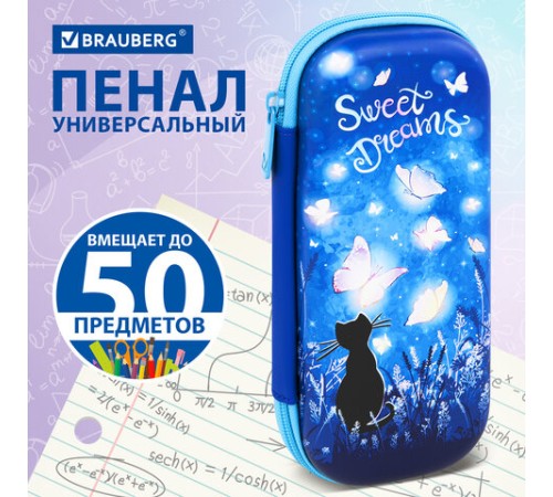 Пенал BRAUBERG, 1 отделение, 1 откидная планка, EVA, 22х10х5 см, 