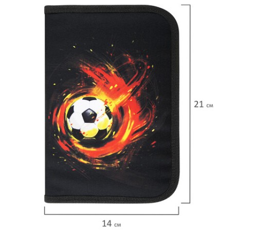 Пенал BRAUBERG с наполнением, 1 отделение, 1 откидная планка, 24 предмета, 21х14 см, 