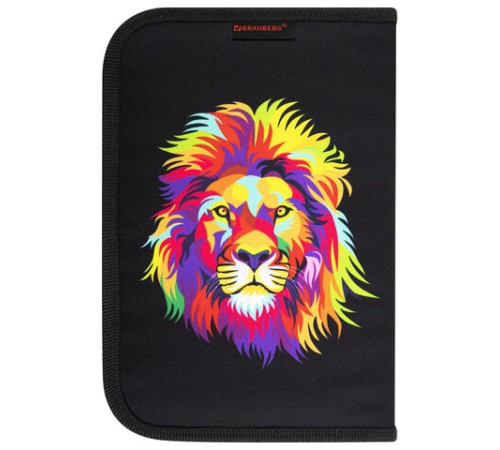 Пенал BRAUBERG с наполнением, 1 отделение, 1 откидная планка, 24 предмета, 21х14 см, 