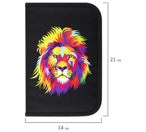 Пенал BRAUBERG с наполнением, 1 отделение, 1 откидная планка, 24 предмета, 21х14 см, 