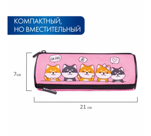 Пенал мягкий BRAUBERG, 3 отделения, нейлон, 21х7х7 см, 