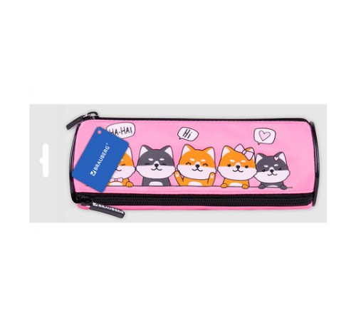 Пенал мягкий BRAUBERG, 3 отделения, нейлон, 21х7х7 см, 