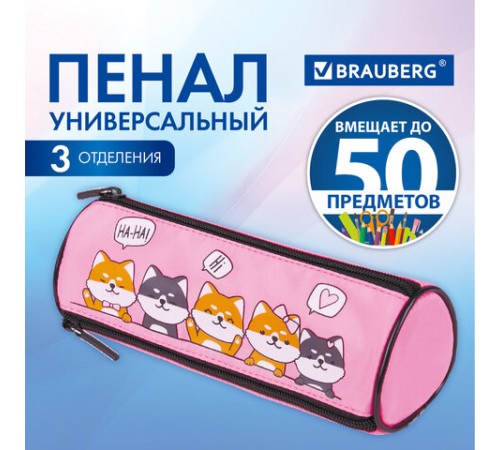 Пенал мягкий BRAUBERG, 3 отделения, нейлон, 21х7х7 см, 