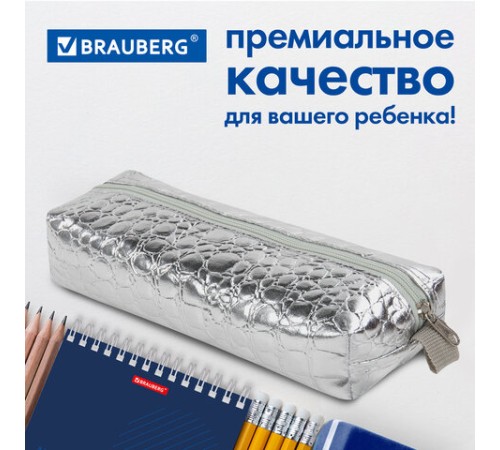 Пенал-косметичка BRAUBERG, 