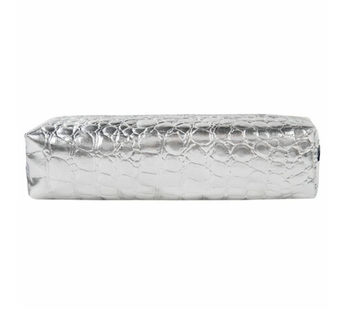 Пенал-косметичка BRAUBERG, 