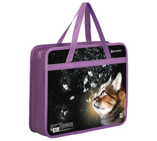 Папка на молнии с ручками BRAUBERG А4, 1 отделение, пластик, 80 мм, 