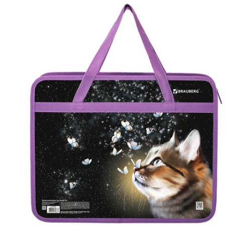 Папка на молнии с ручками BRAUBERG А4, 1 отделение, пластик, 80 мм, 