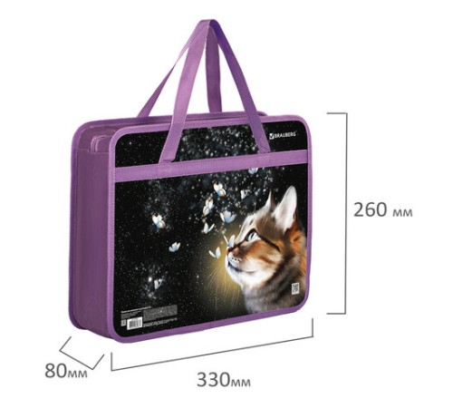 Папка на молнии с ручками BRAUBERG А4, 1 отделение, пластик, 80 мм, 