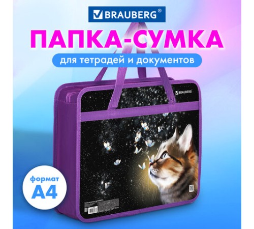Папка на молнии с ручками BRAUBERG А4, 1 отделение, пластик, 80 мм, 