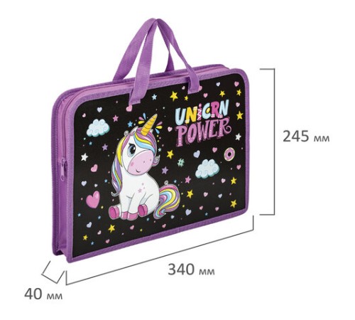 Папка на молнии с ручками ЮНЛАНДИЯ А4, 1 отделение, пластик, ширина 45 мм, 